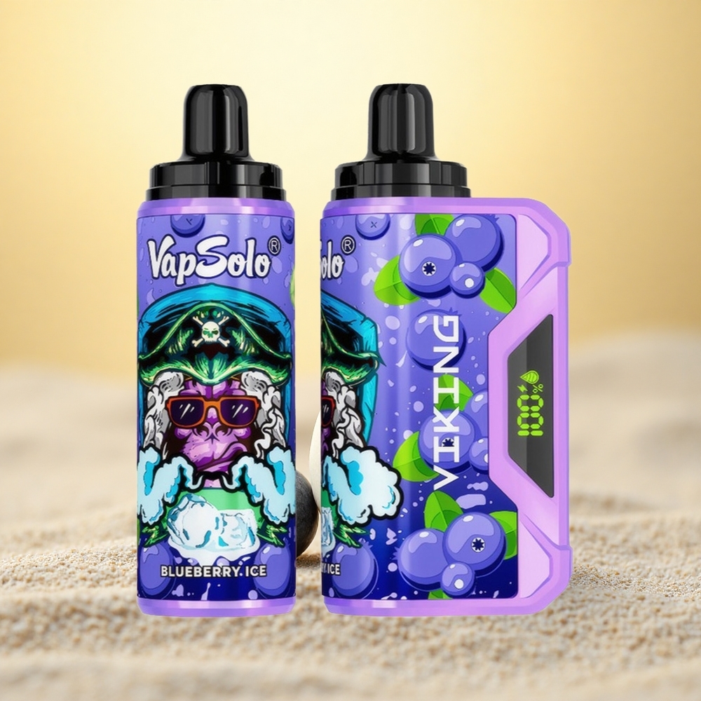 VapSolo VIKING 12000 Puffs Blauwe Bes Type-C 22ml LED