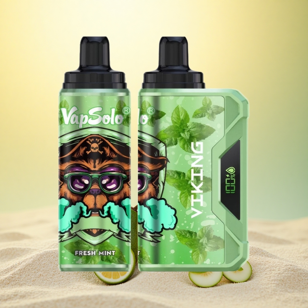 VapSolo VIKING 12000 Puffs Verse Munt Type-C 22ml