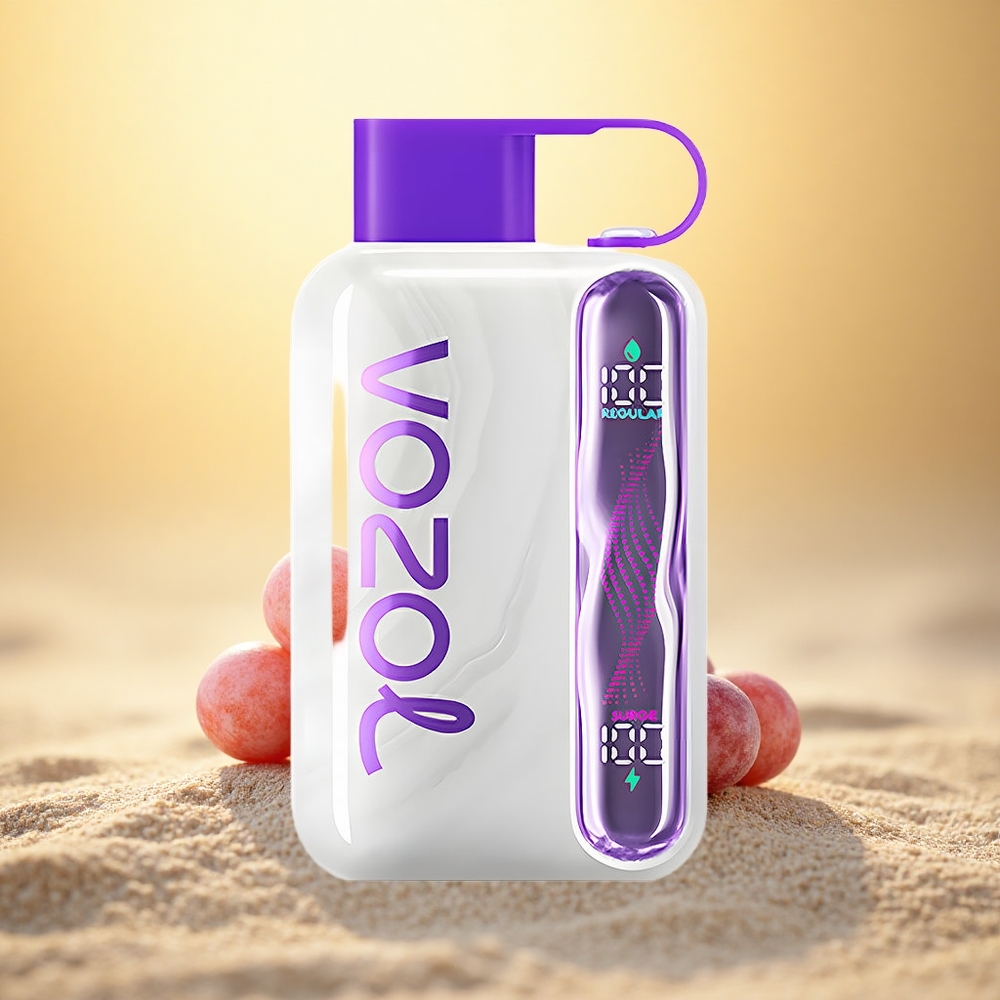 VOZOL STAR 40000 Puffs Druif IJs 1000mAh Type-C 20/50mg