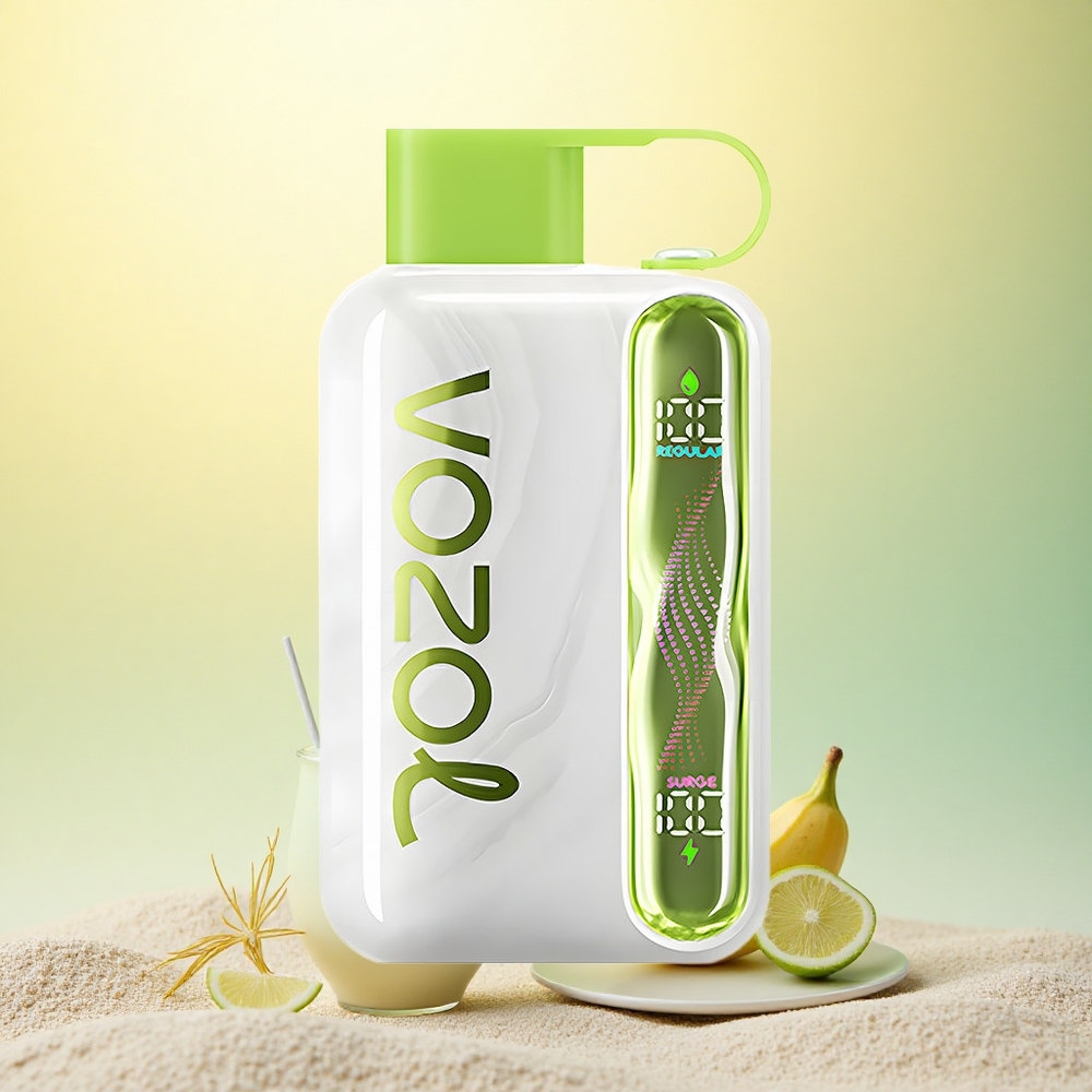 VOZOL STAR 40000 Puffs Frisse Munt 1000mAh Type-C 50mg