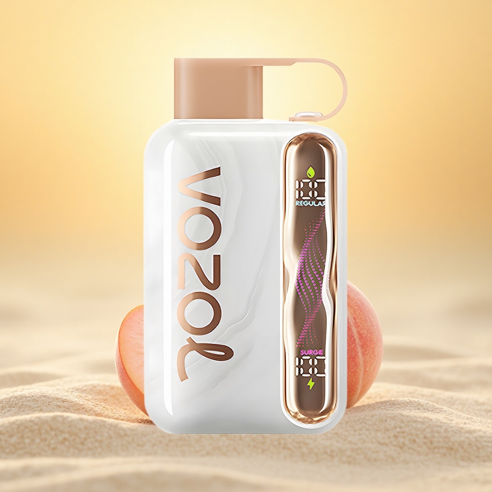 VOZOL STAR 40000 Puffs Perzik IJs 1000mAh Type-C 20/50mg