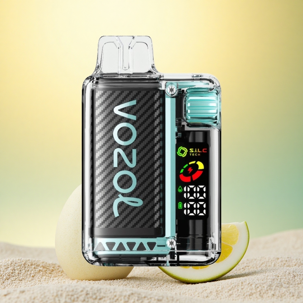 VOZOL Vista 20000 Puffs Amsterdam Munt 650mAh 2% OLED