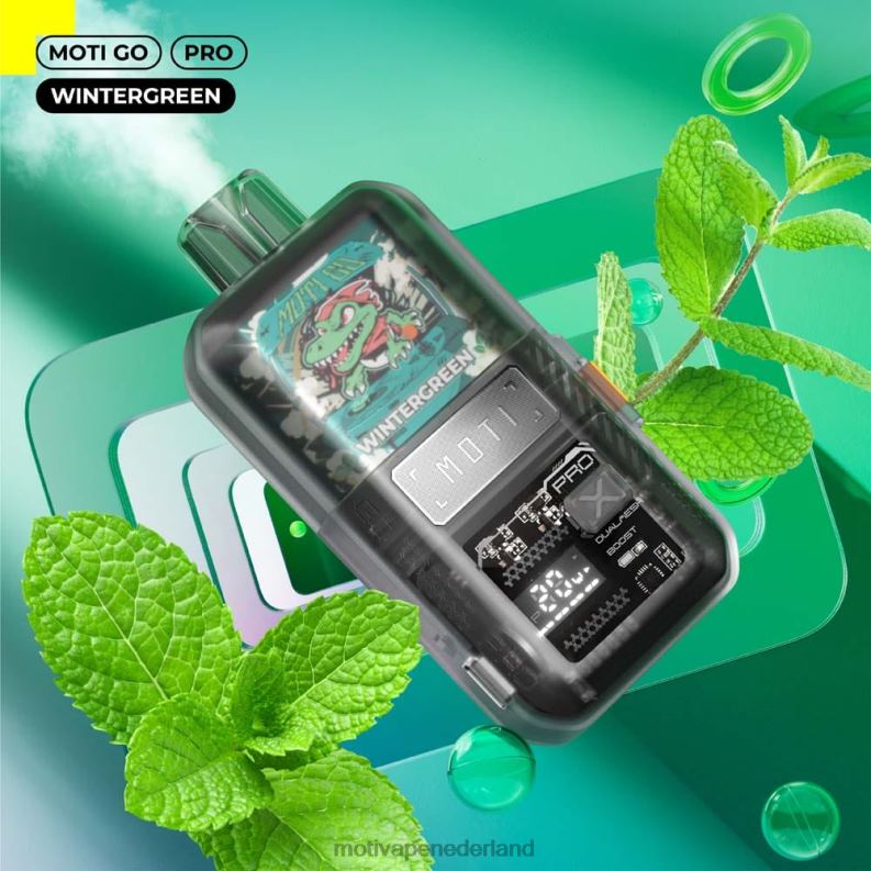wintergroen - Moti vape pods - MOTI Go Pro wegwerpdamp (5%, 12.000 trekjes) 0L06N24